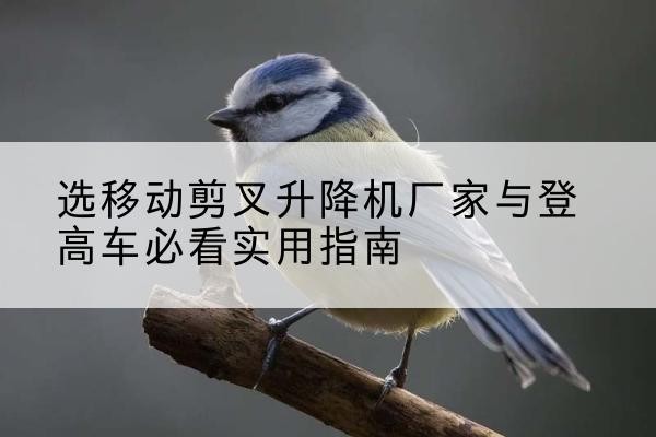 西宁电动升降机厂家-选移动剪叉升降机厂家与登高车必看实用指南