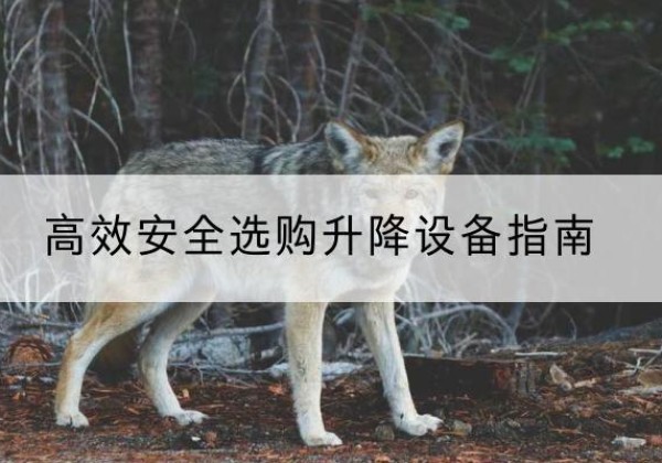 西宁升降货梯厂家推荐-*安全选购升降设备指南