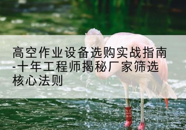 西宁剪叉式升降机厂家-高空作业设备选购实战指南-十年工程师揭秘厂家筛选核心法则